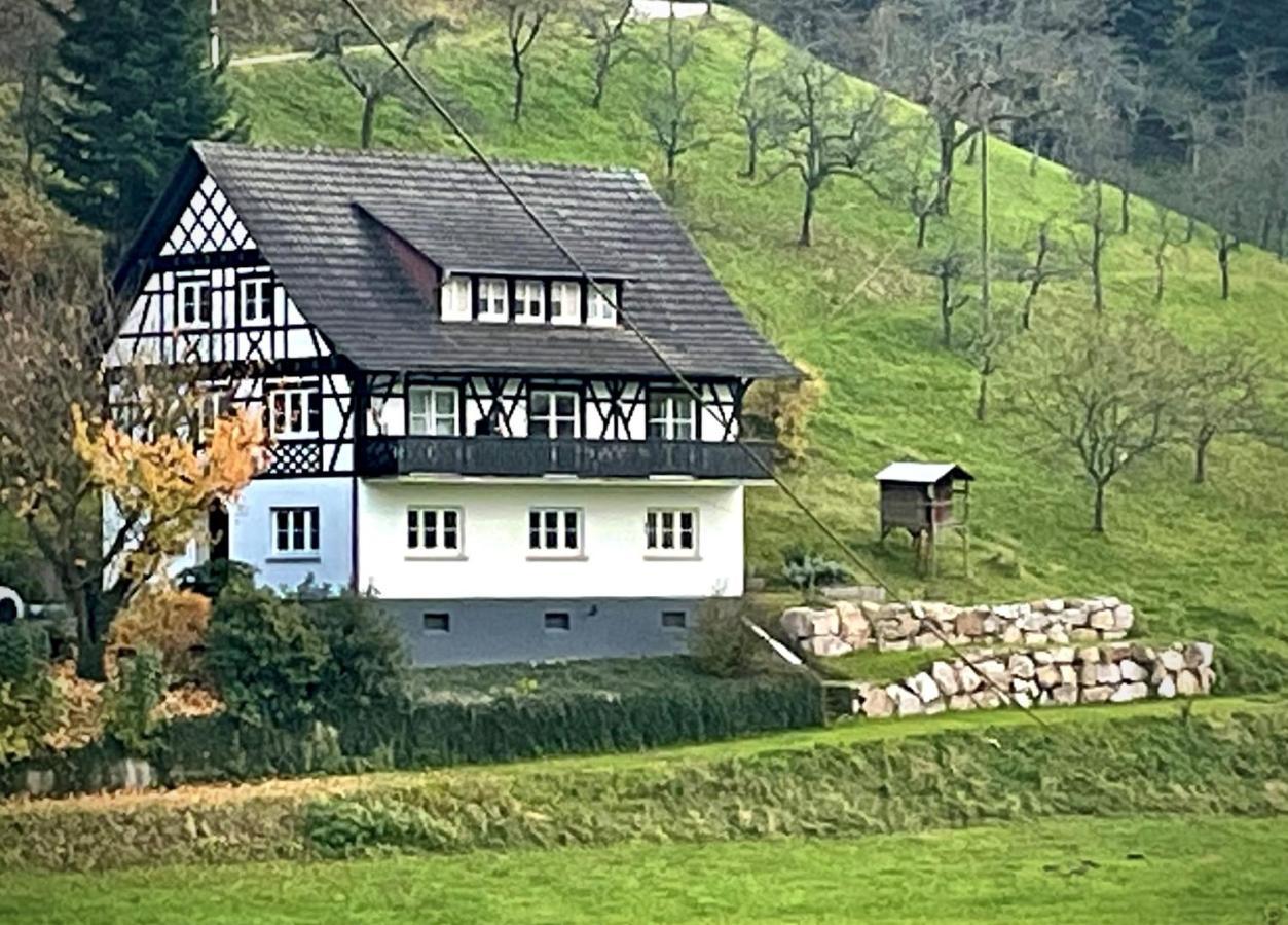 Ferienwohnung Hesselbach Oberkirch  Eksteriør bilde