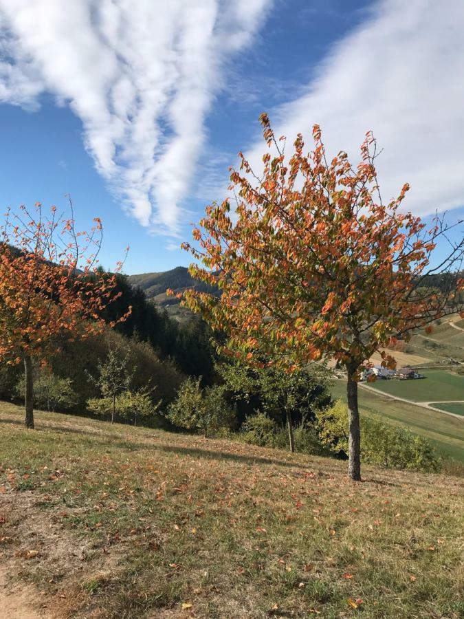 Ferienwohnung Hesselbach Oberkirch  Eksteriør bilde