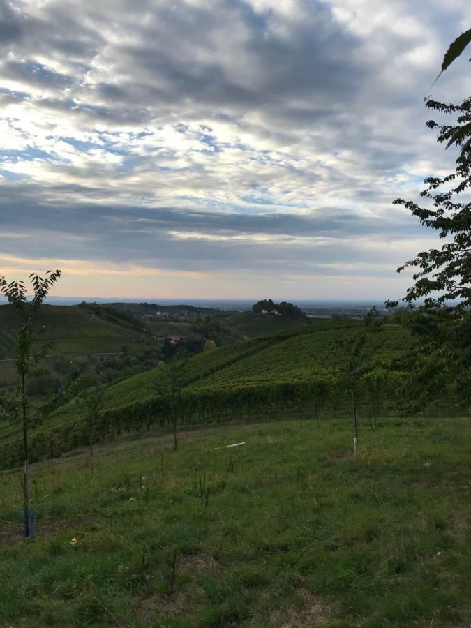 Ferienwohnung Hesselbach Oberkirch  Eksteriør bilde