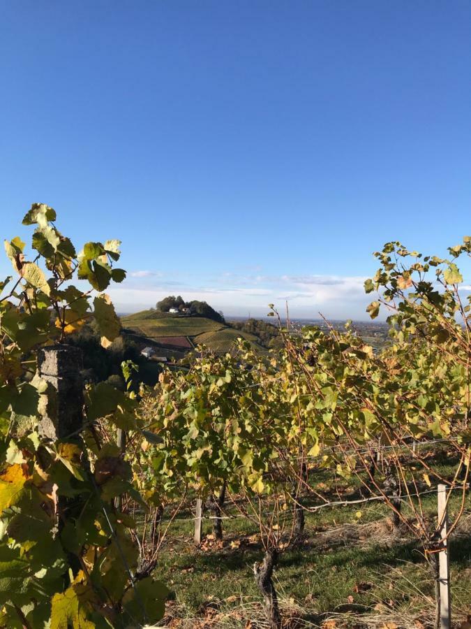 Ferienwohnung Hesselbach Oberkirch  Eksteriør bilde