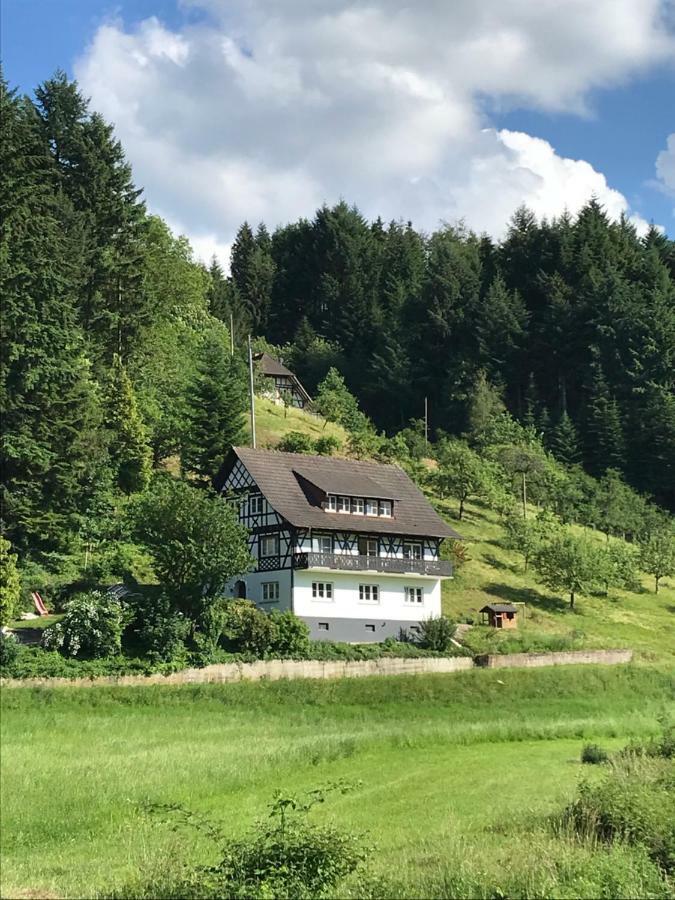 Ferienwohnung Hesselbach Oberkirch  Eksteriør bilde